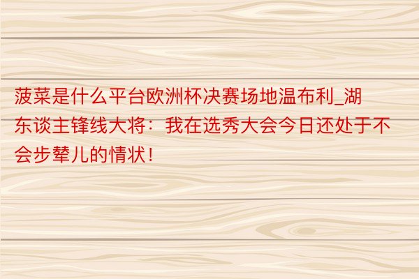 菠菜是什么平台欧洲杯决赛场地温布利_湖东谈主锋线大将：我在选秀大会今日还处于不会步辇儿的情状！