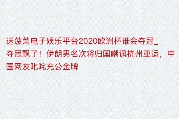 送菠菜电子娱乐平台2020欧洲杯谁会夺冠_夺冠飘了!伊朗男名次将归国嘲讽杭州亚运,中国网友叱咤充公金牌